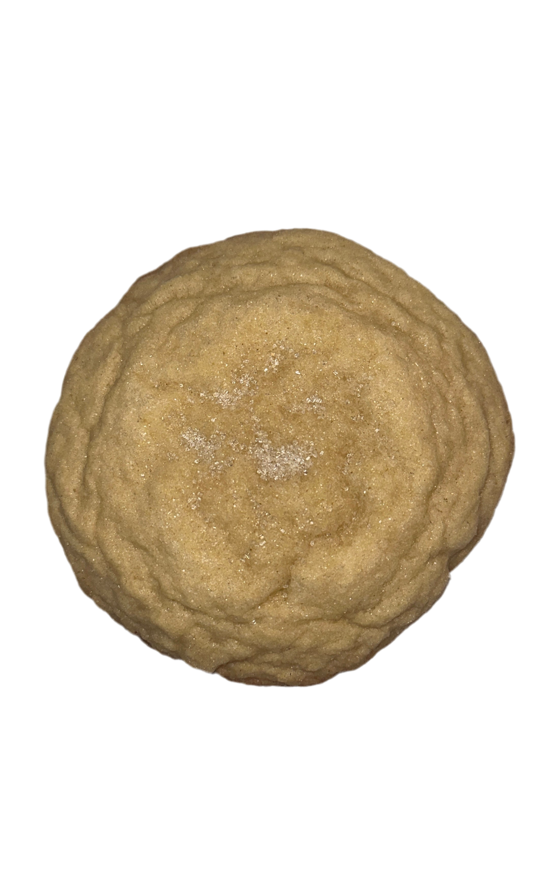 Shoreline Sugar